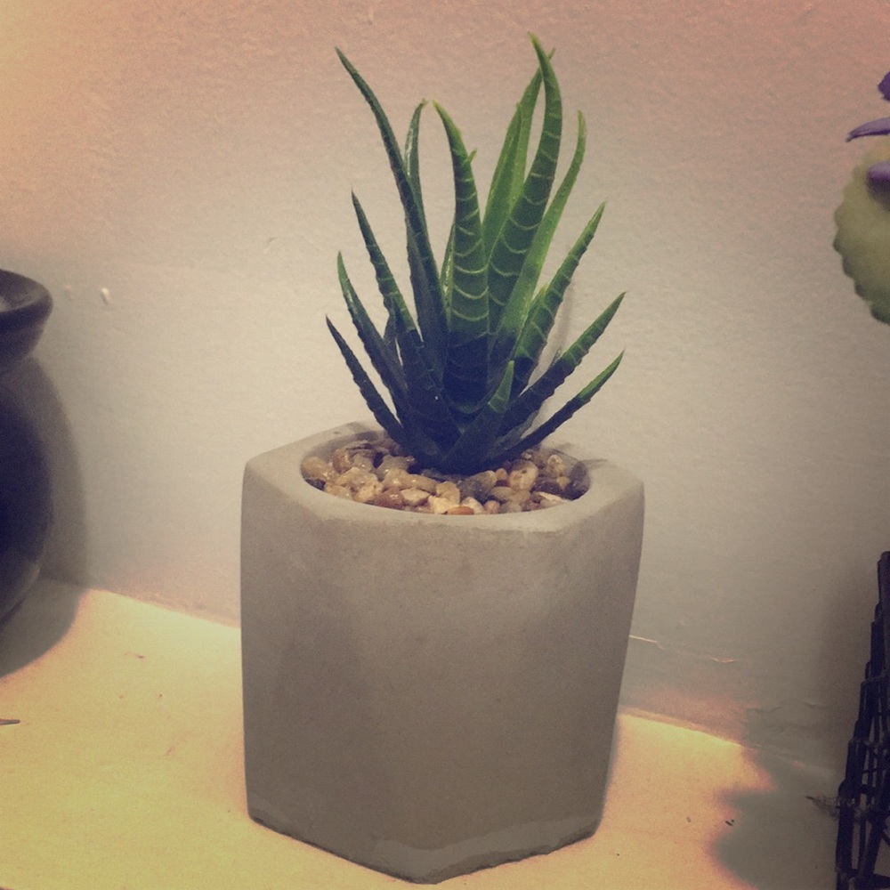 Faux plant with stone bottom